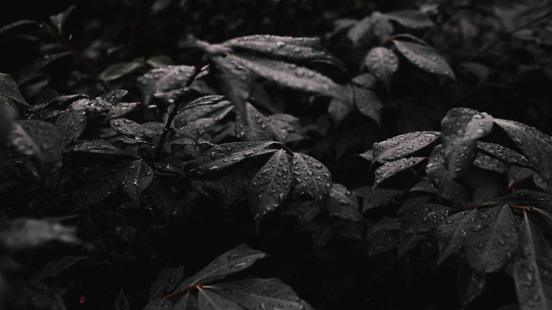 Mockup de website em vários dispositivos